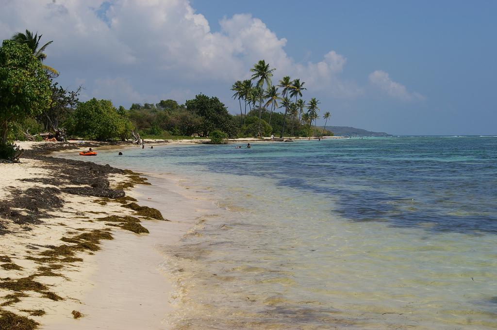 Kaz Creole Aventure Tropicale Insolite, Fibre, Jardin Et Jacuzzi Prives Saint-Francois  Exterior foto