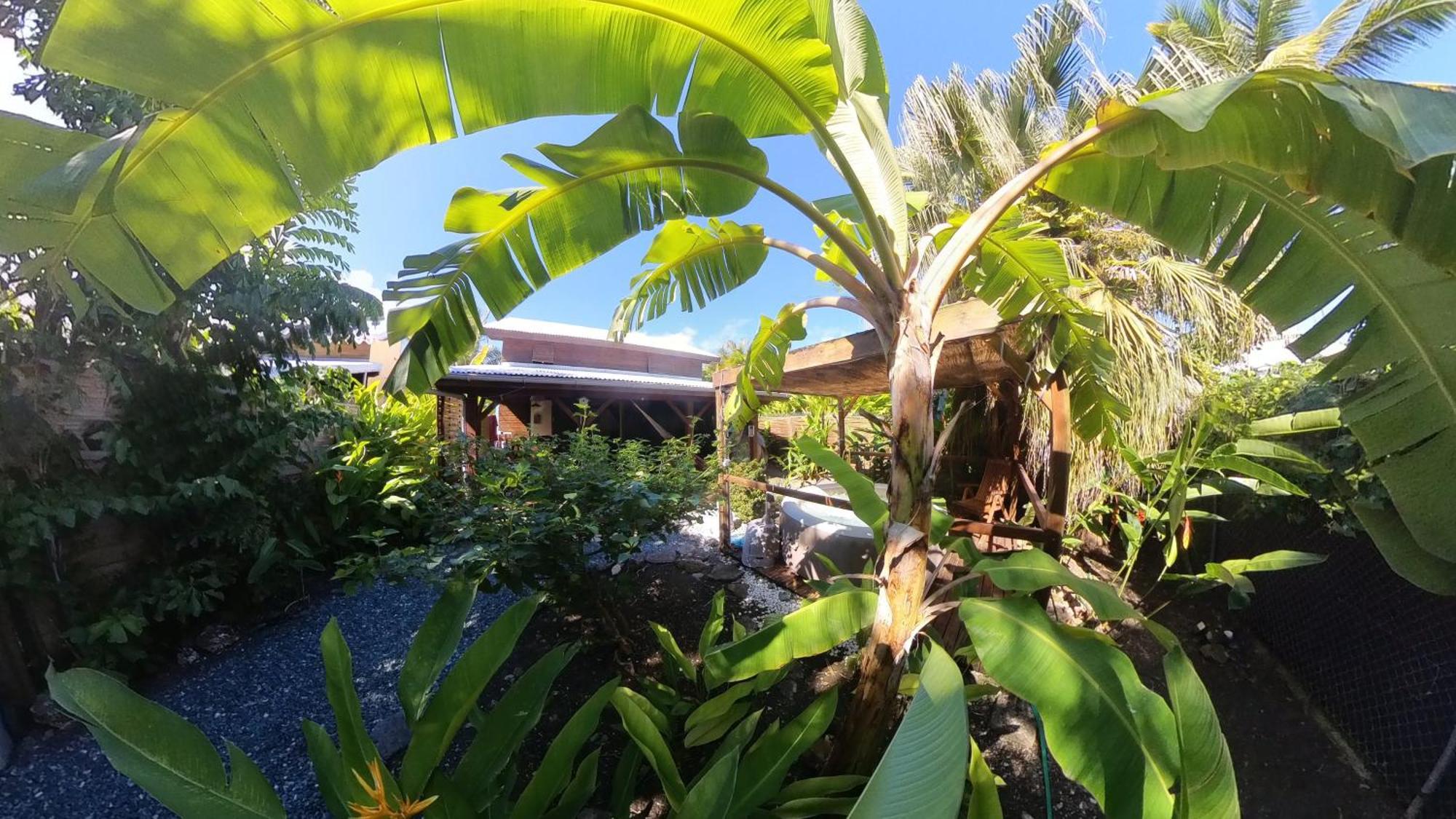 Kaz Creole Aventure Tropicale Insolite, Fibre, Jardin Et Jacuzzi Prives Saint-Francois  Exterior foto